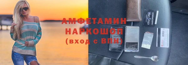 шишки Арсеньев